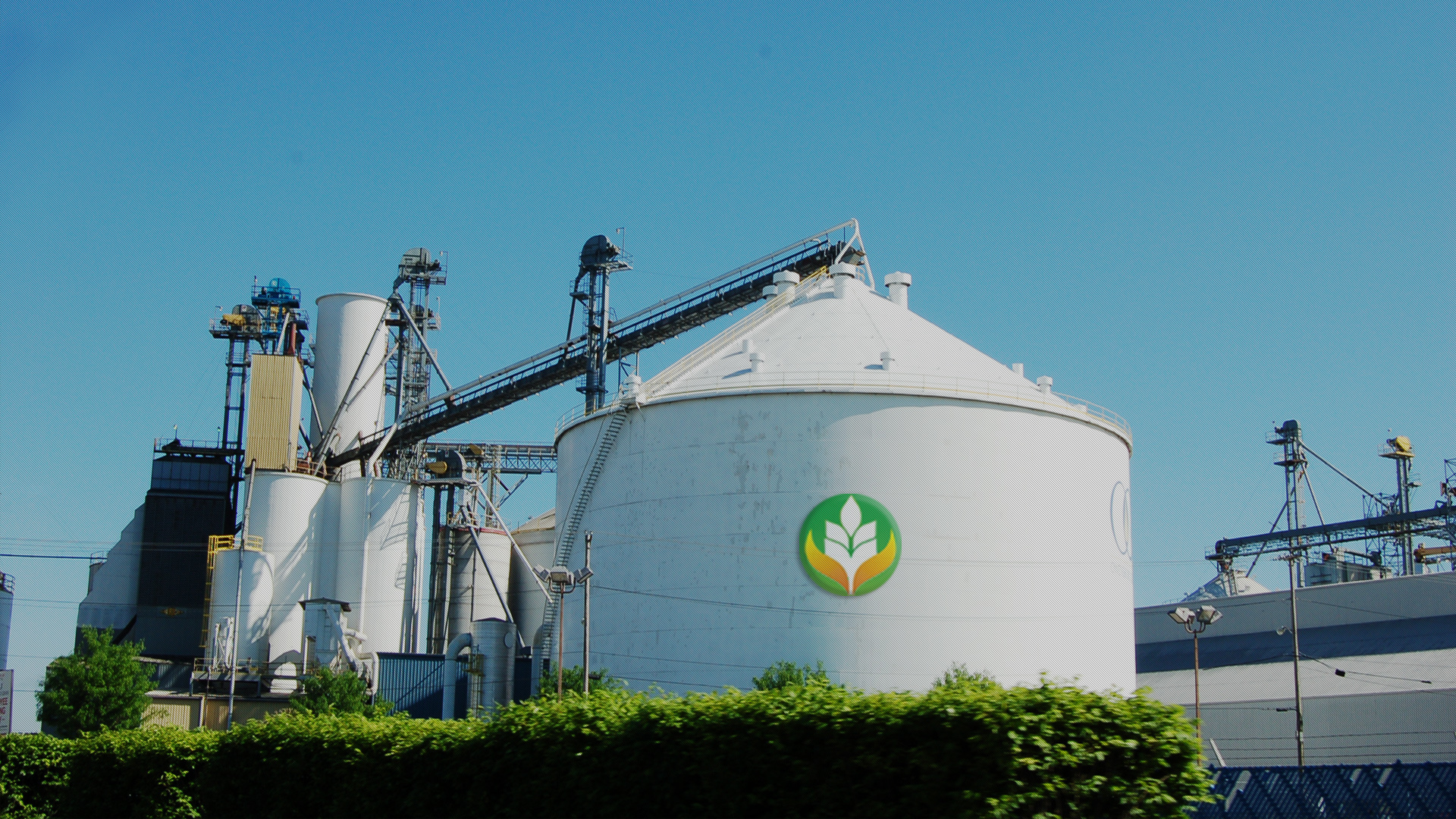 興旺·為(wèi)您的(de)健康選好(hǎo)糧