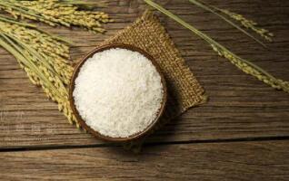 正宗東(dōng)北(běi)大(dà)米的(de)标準